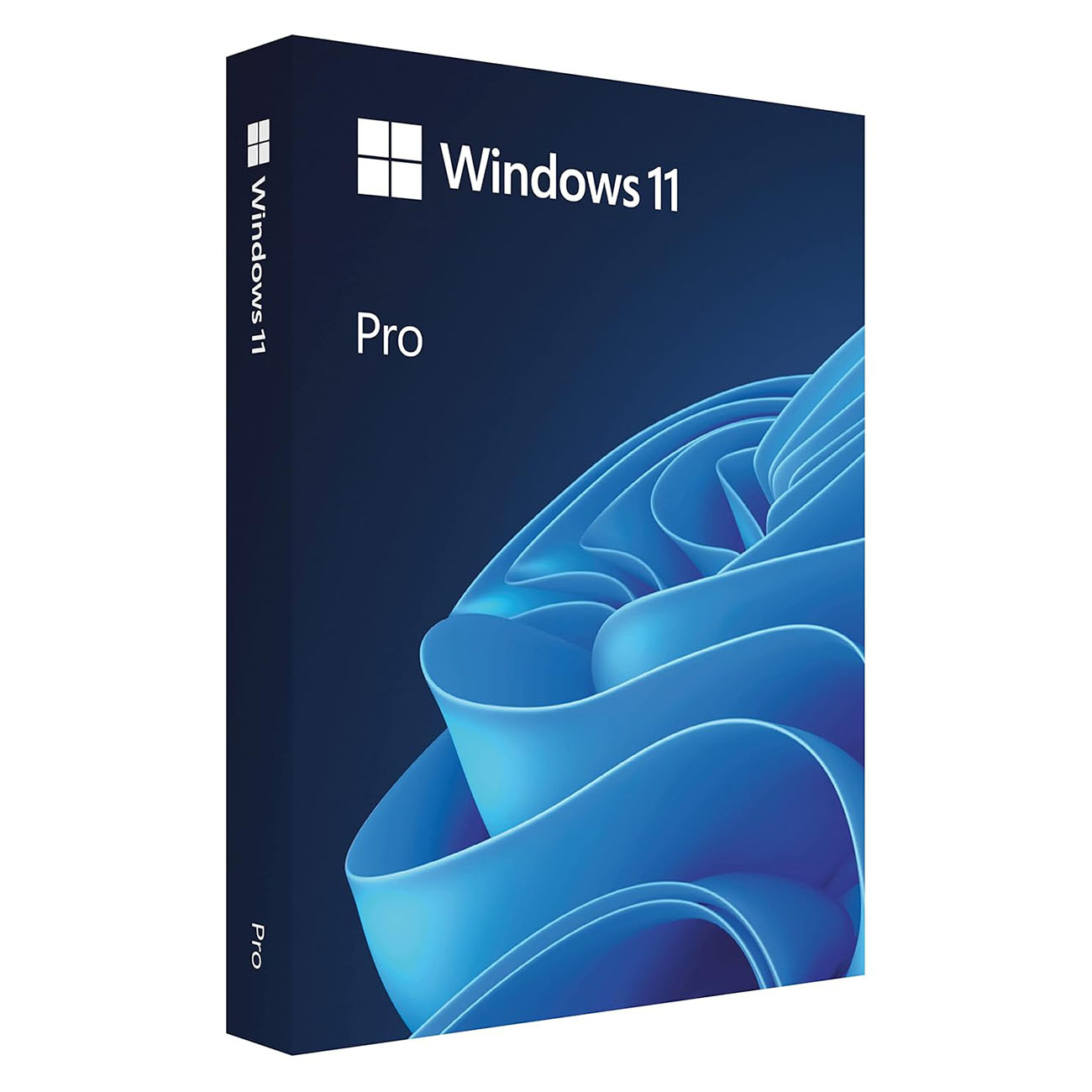 Microsoft Windows 11 Pro OEM Product License Key - Single User Validity Lifetime